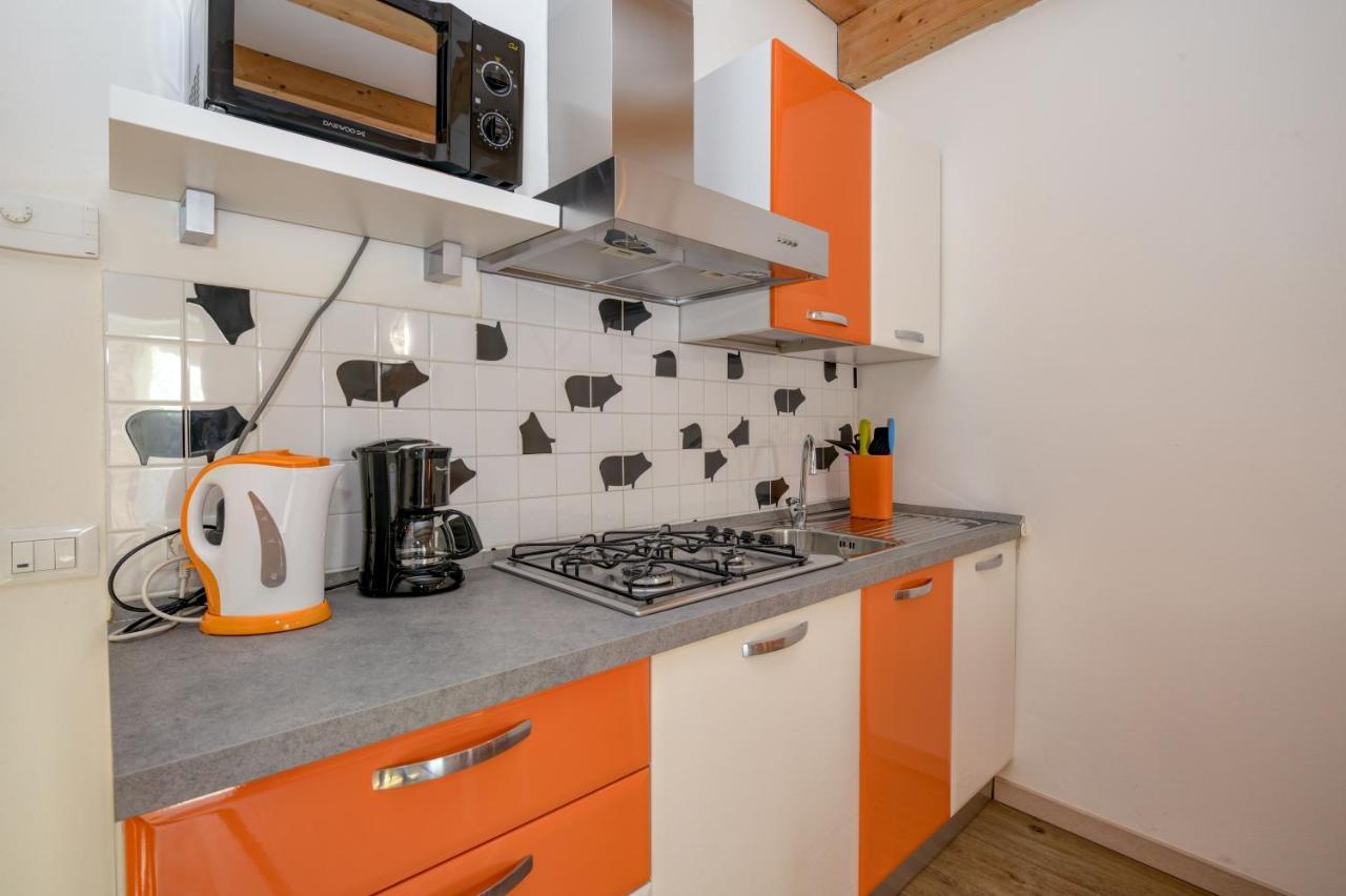 Casa Nel Borgo - Il Picchio Apartment Tremosine Exterior photo